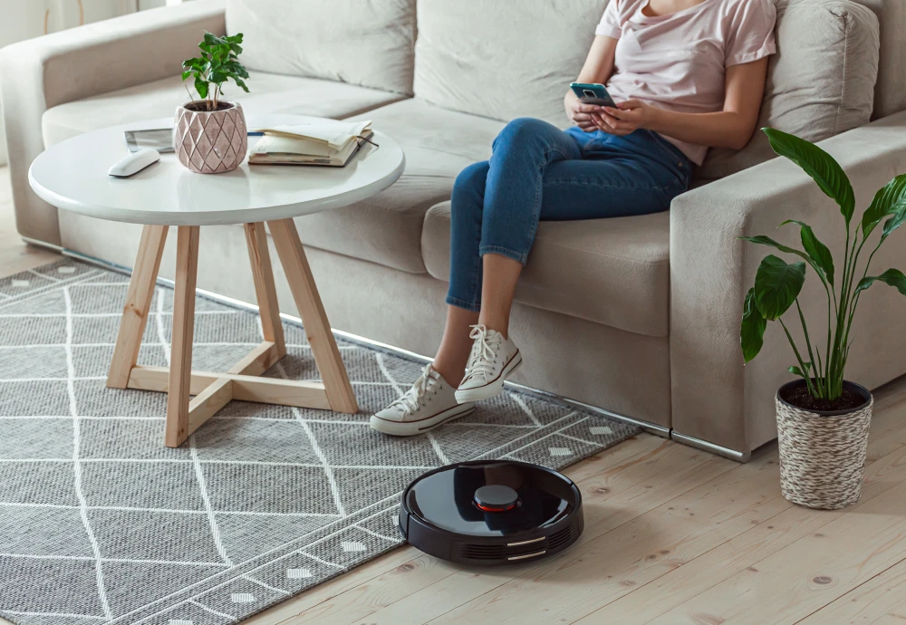 robot vacuum cleaner with docking station